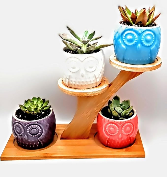 Blisse Wood Owl Planter (White)