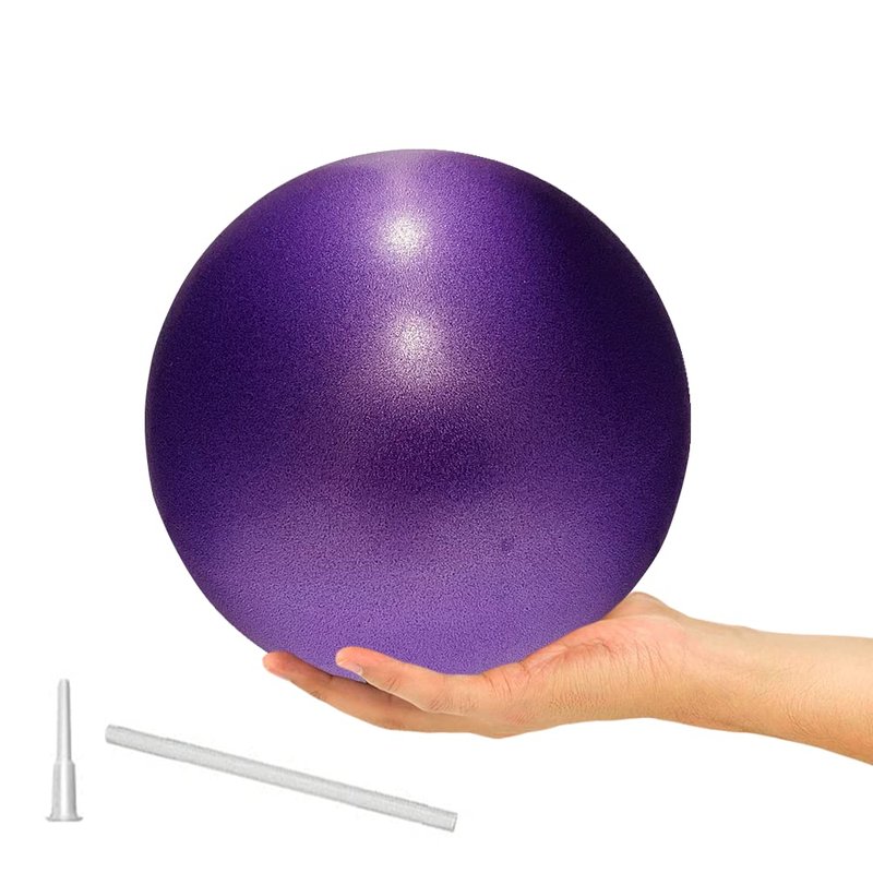 ElwynnLane 9 Inch Exercise Pilates Ball Mini Exercise Barre Ball for Yoga,Stability Exercise Training Gym Anti Burst and Slip Resistant Balls Physical Therapy Improves Balance