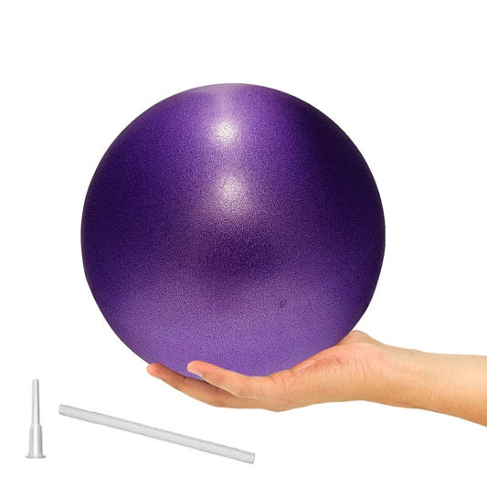 ElwynnLane 9 Inch Exercise Pilates Ball Mini Exercise Barre Ball for Yoga,Stability Exercise Training Gym Anti Burst and Slip Resistant Balls Physical Therapy Improves Balance