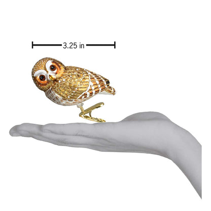 Old World Christmas Pygmy Owl Glass Blown Ornament for Christmas Tree, Handcrafted Holiday Decoration, Owl Collection