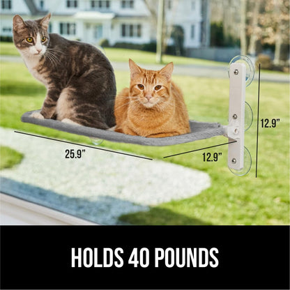GORILLA GRIP Cat Window Perch, Foldable Cat Window Hammock Bed with 6 Large Suction Cups, Cordless Indoor Wall Shelves, Strong Metal Frame Holds 40lbs, Reversible Washable Sherpa Cover, Large Gray