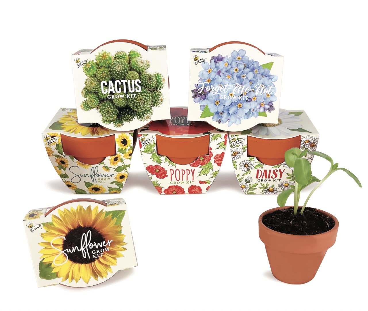 Buzzy Seeds Terracotta Mini Grow Pots | Herb, Plant, Flower Starter Kit for Kids & Adults | Assorted 6-Pack, Daydream Collection | Guaranteed to Grow | Best Indoor-Outdoor Gardening Gift