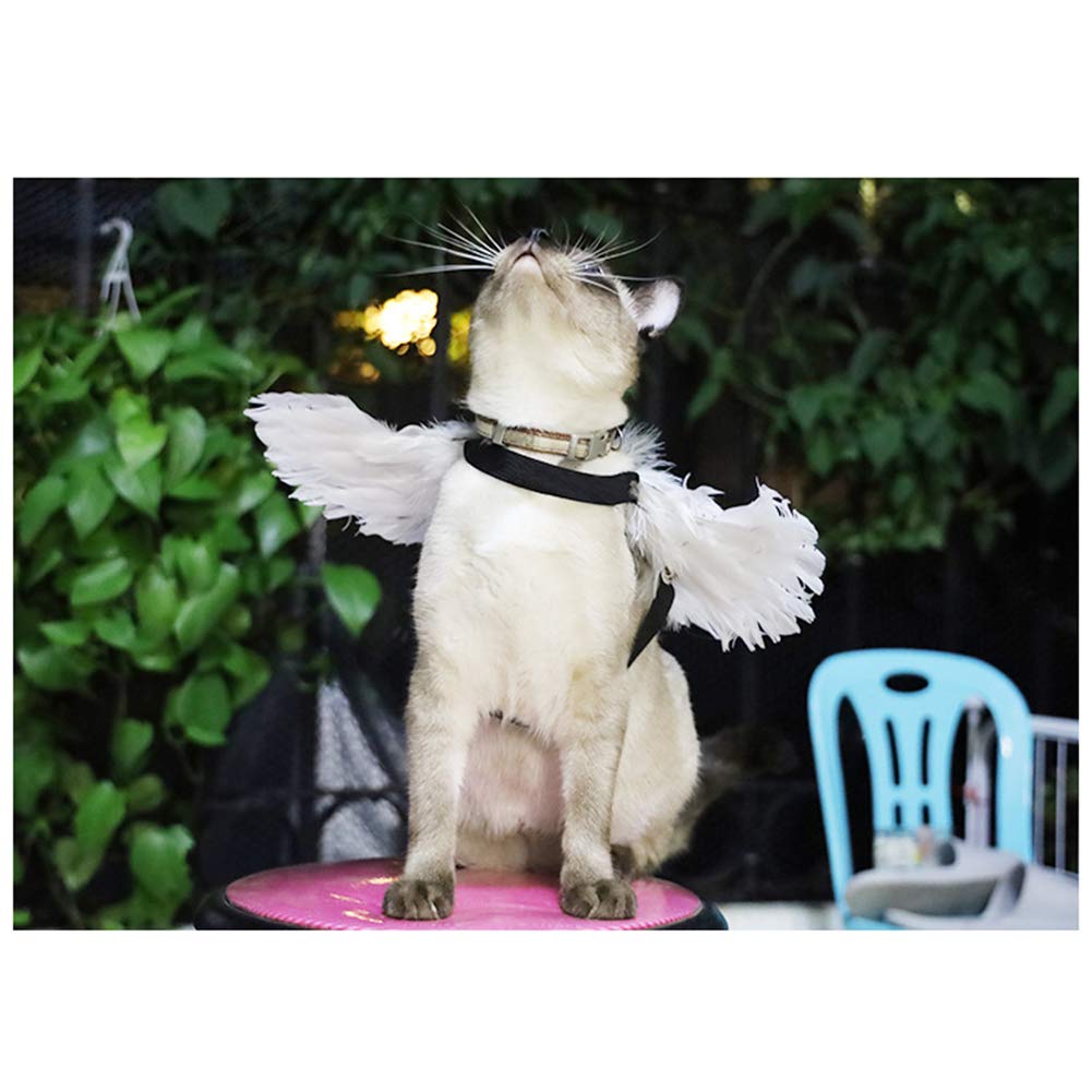 WeeH Pet Halloween Costume Cosplay Angel Devil Black White Wing for Dog Cat Rabbit Piggy - Funny Gift at Halloween Party Anime Theme Birthday Christmas (Black, Small)