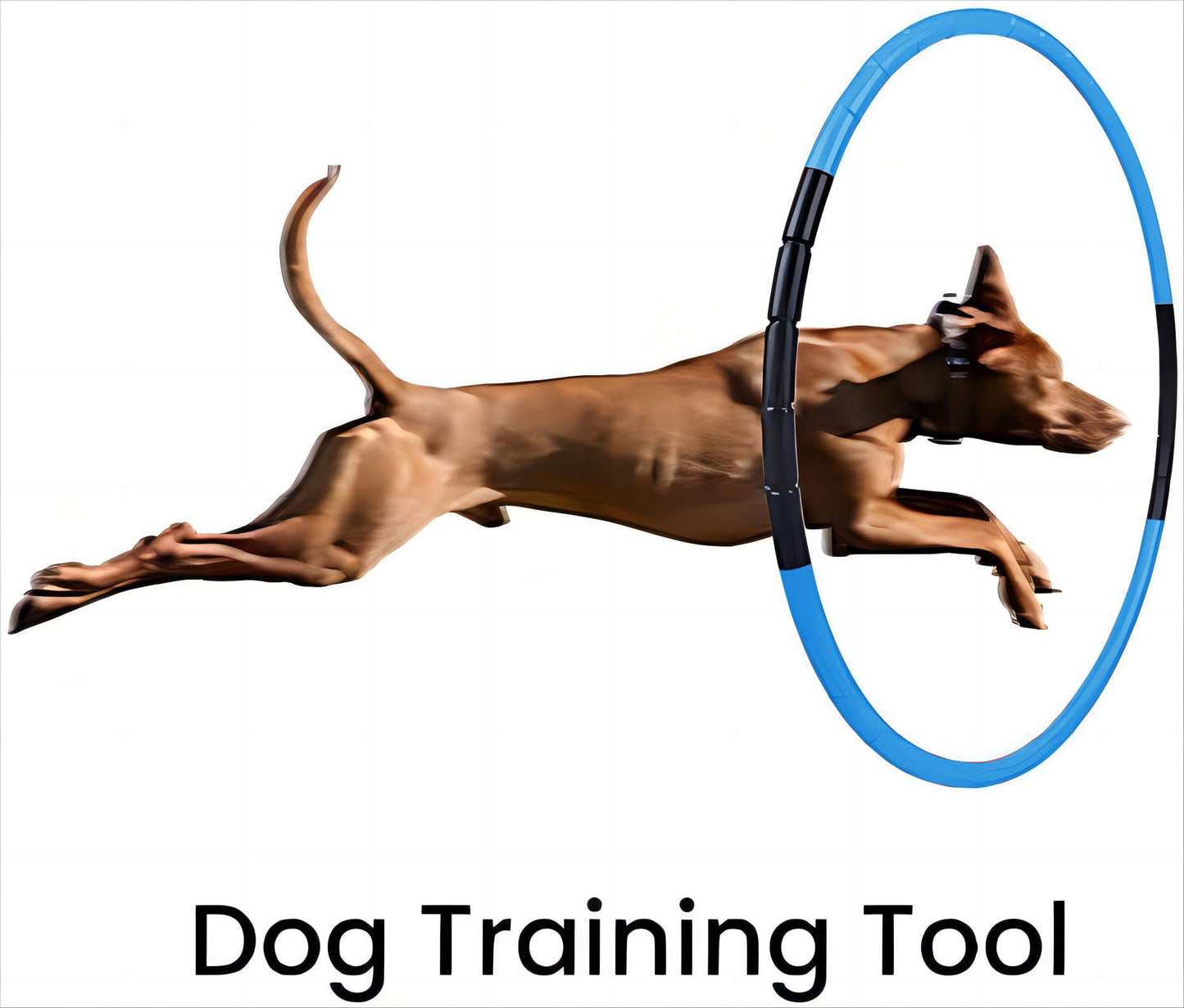 BOHS Kids Fitness Hoop - Weight & Size Adjustable- Body Building Plastic Children Gymnastics Toys - Diameter 26.5 Inches