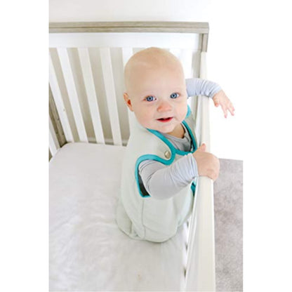 Baby Deedee Sleep Nest Sleeping Sack, Warm Baby Sleeping Bag fits Newborns and Infants,Medium (6-18 Months)