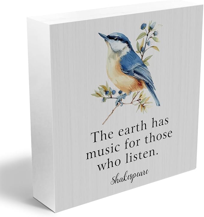 Summer Decor Wooden Box Sign, Watercolor Bird Desk Decorations, Gifts for Nature Lovers, Rustic Farmhouse Home Living Room Garden Bedroom Table Shelf Decor, Summer Decorations Wood Block Plaque