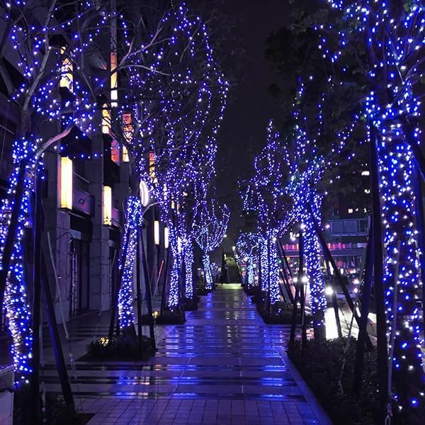 kemooie 500 LED Christmas String Lights, 164FT 8 Lighting Mode with Memory Plug in Green Wire Waterproof Lights, for Outdoor Birthday Christmas Party Garden Balcony Decorations (Blue and White)