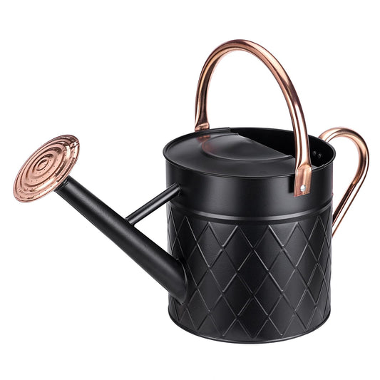 BLstyle 1.75 Gallon Outdoor Metal Watering Can for Garden Plants, Vintage Zinc Watering Can with Removable Spray Spout, Ideal for Outdoor Use (Black)