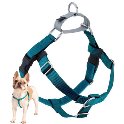 2 Hounds Design Freedom No Pull Dog Harness, Adjustable Harness, Easy Walking & Comfortable Control, Fits Small, Medium & Large Dogs, Solid Colors, Made in USA, 1" LG, Teal