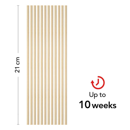 Yankee Candle Reed Diffuser, Pink Sands, 120 ml, Up to 10 Weeks of Fragrance