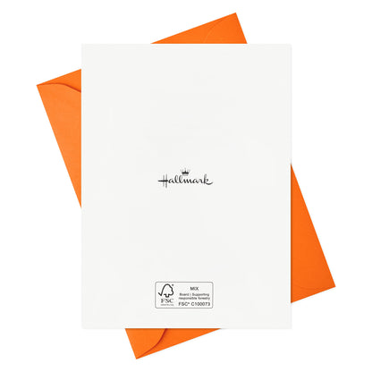 Hallmark Halloween Cards Assortment, Pet Puns (48 Cards with Envelopes)