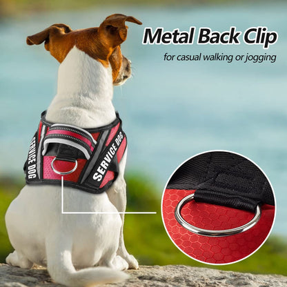 Dog Vest Harness and Patches Set, Animire in Training Service Dog Harness with 10 Dog Patches, Reflective Dog Vest with Handle for Small, Medium, Large, and Extra-Large Dogs