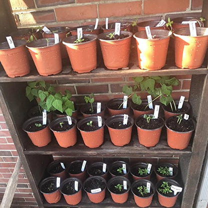 KINGLAKE 50Pcs Plastic Plant Pots 15 cm Nursery Seedlings Pots Seed Starting Pots Flower Plant Container