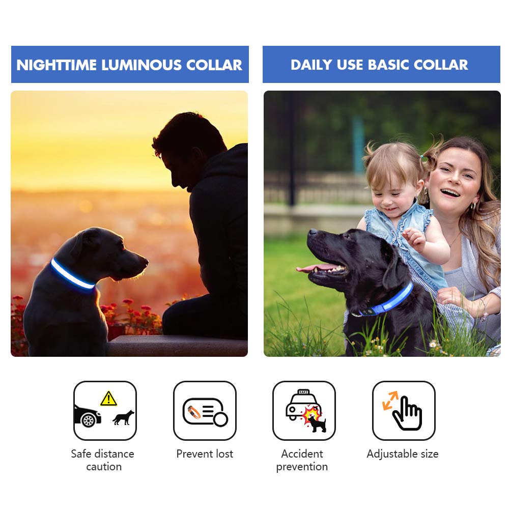 MASBRILL Light Up Dog Collar, LED Dog Collar Lights for the Dark, Rechargeable and Waterproof Flashing Dog Collars with 3 Glowing Modes, Adjustable Pet Collar for Small/Medium/Large Dog(Blue M)