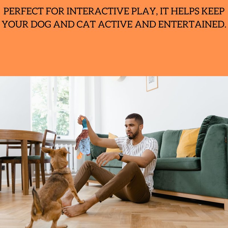 Duck Dog Toy Squeak Toys | Mallard-Shaped | Shaped Pet Toys | Duck Dog Toys for Large Dogs | Mallard Dog Toy | Dog Chew Toys | Stuffed Toys Interactive Animal.