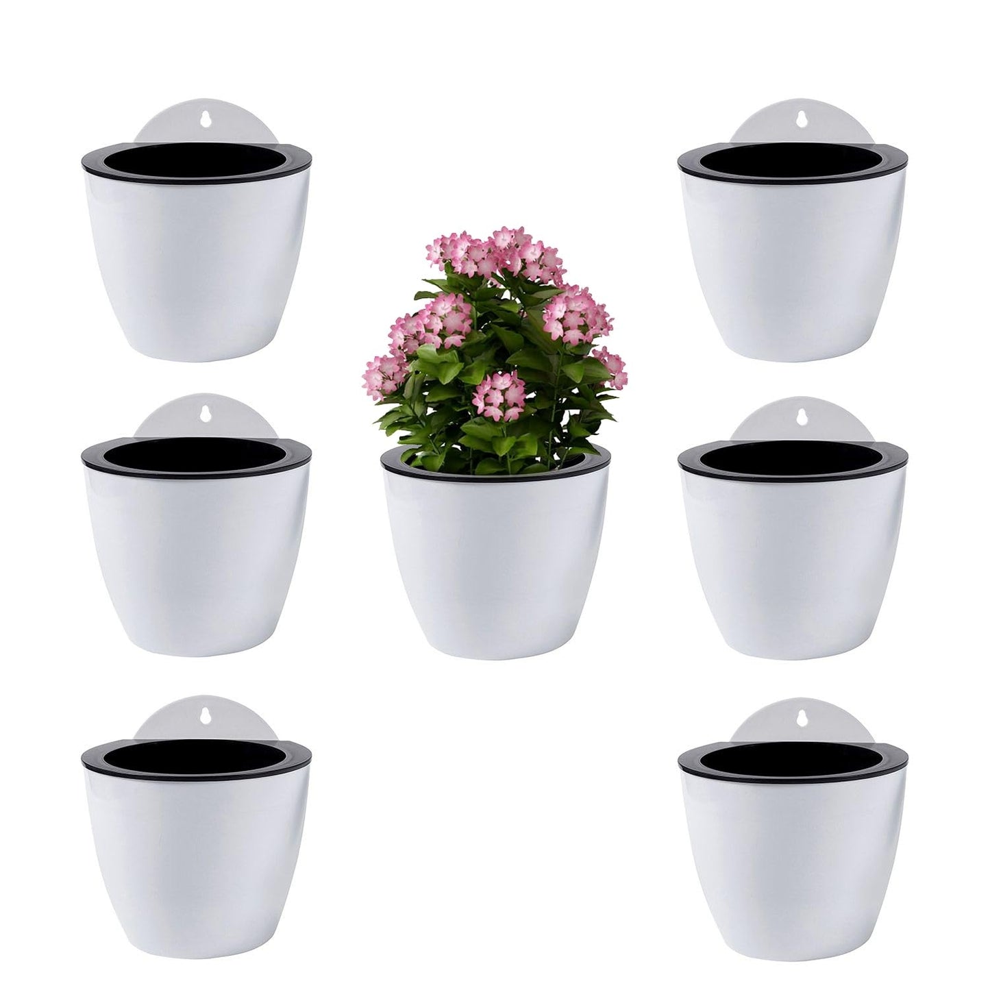 ShoppeWatch Wall Planters for Indoor Plants 7 Pack | Hanging Planters Large 7 Inch with Hooks | Wall Pots for Plants | 7.28 x 6.1 inches - PL35