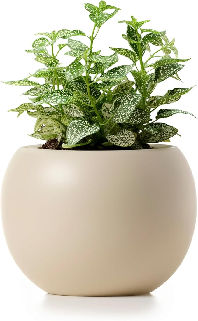 Self Watering Plant Pot | 7 Inch Ceramic Indoor Planter Pot with 4.25 Inch Opening | Ivory Pot for Indoor Plants | Round Self Watering Planter | Neutral Home Decor