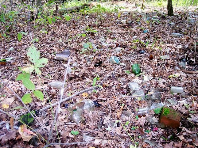 Bottled Up Designs Handmade Vintage Lace Leverback Earrings, Sterling Silver, Eco Friendly, Made in USA, Birthday Gifts, Mothers Day, Women, Anniversary (Black Depression Glass)