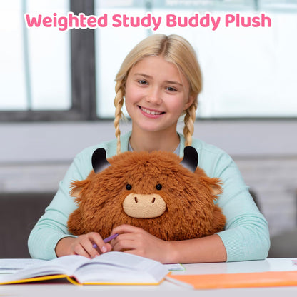 Mewaii Weighted Highland Cow Plush,4.0Lbs Weighted Stuffed Animal Pillow for Kids, Soft Weighted Anxiety Plush Toy Birthday Gifts for Women Girls and Females (23 inch)