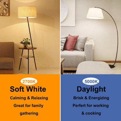 12Packs ST64 Large Vintage LED Edison Bulbs, 60W Equivalent 7W, 800Lumens, Dimmable Antique LED Filament, 5000K Cool White, E26 Medium Base Light Bulbs High Brightness Clear Glass for Bedroom Office