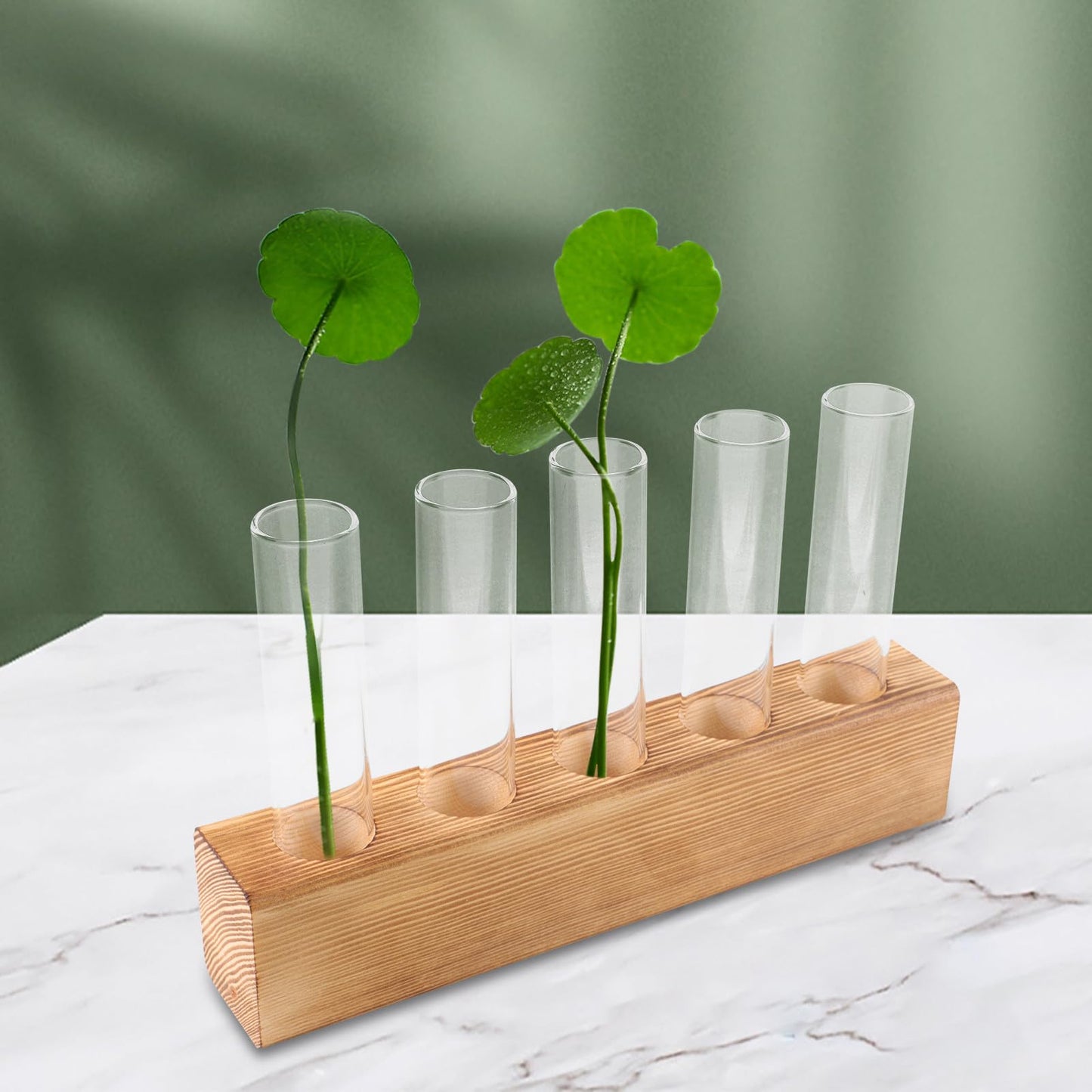 SEWACC Hydroponic Glass Planter Vase with 5-Hole Wooden Base, Plant Terrarium for Indoor Propagation and Home Office Décor, Glass Bud Vases for Desktop Hydroponics