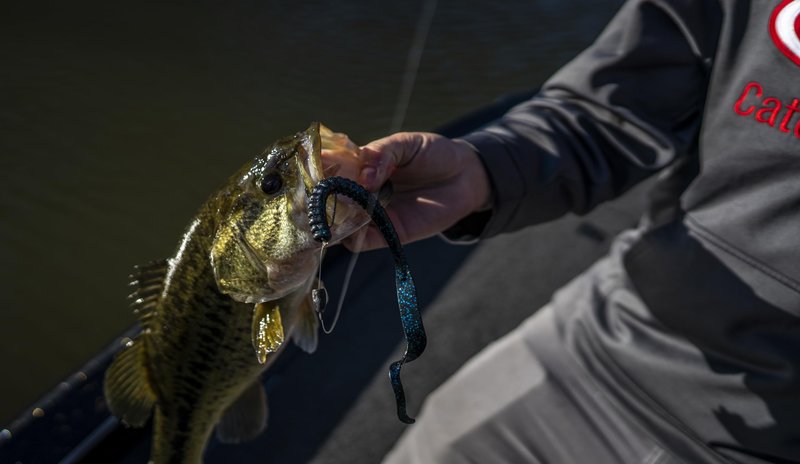 Berkley PowerBait® Power Worm Fishing Bait, Midnight Fire, 7in | 18cm, Irresistible Flavor, Classic Curly Tail Worm Profile, Ideal for Spring, Summer and Fall Fishing