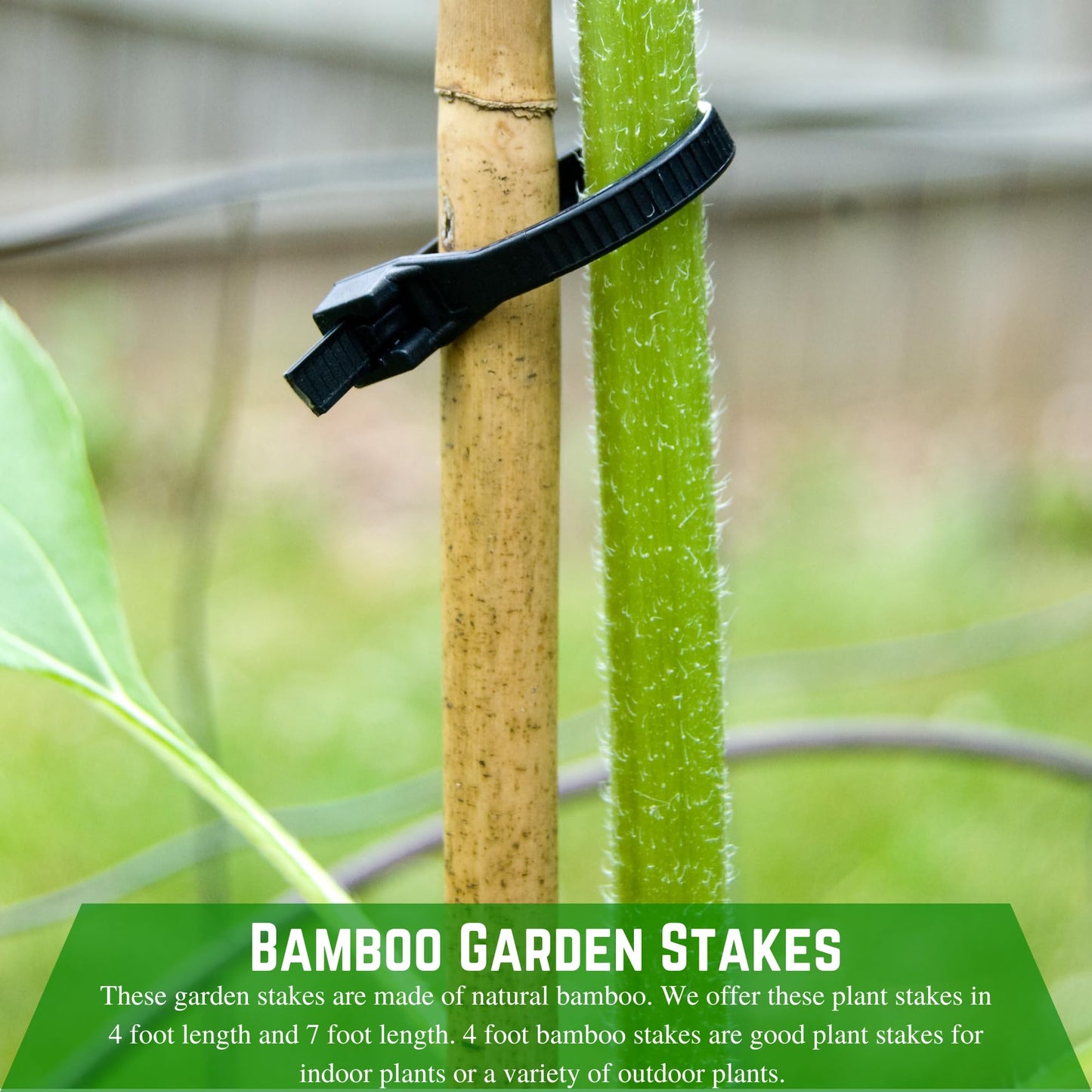 Farm Plastic Supply - Bamboo Garden Stakes - Bambo Sticks, Bamboo Plant Stakes for Outdoor Plants, Plant Support Stakes for Indoor Plants (7 Foot, 100)