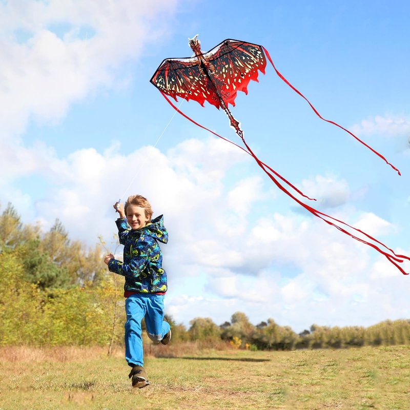 Mint's Colorful Life Dragon Kite for Kids & Adults, Easy to Fly Kites for Beginners, Large Single Line Kite for Beach Trip with 300ft String(Red)