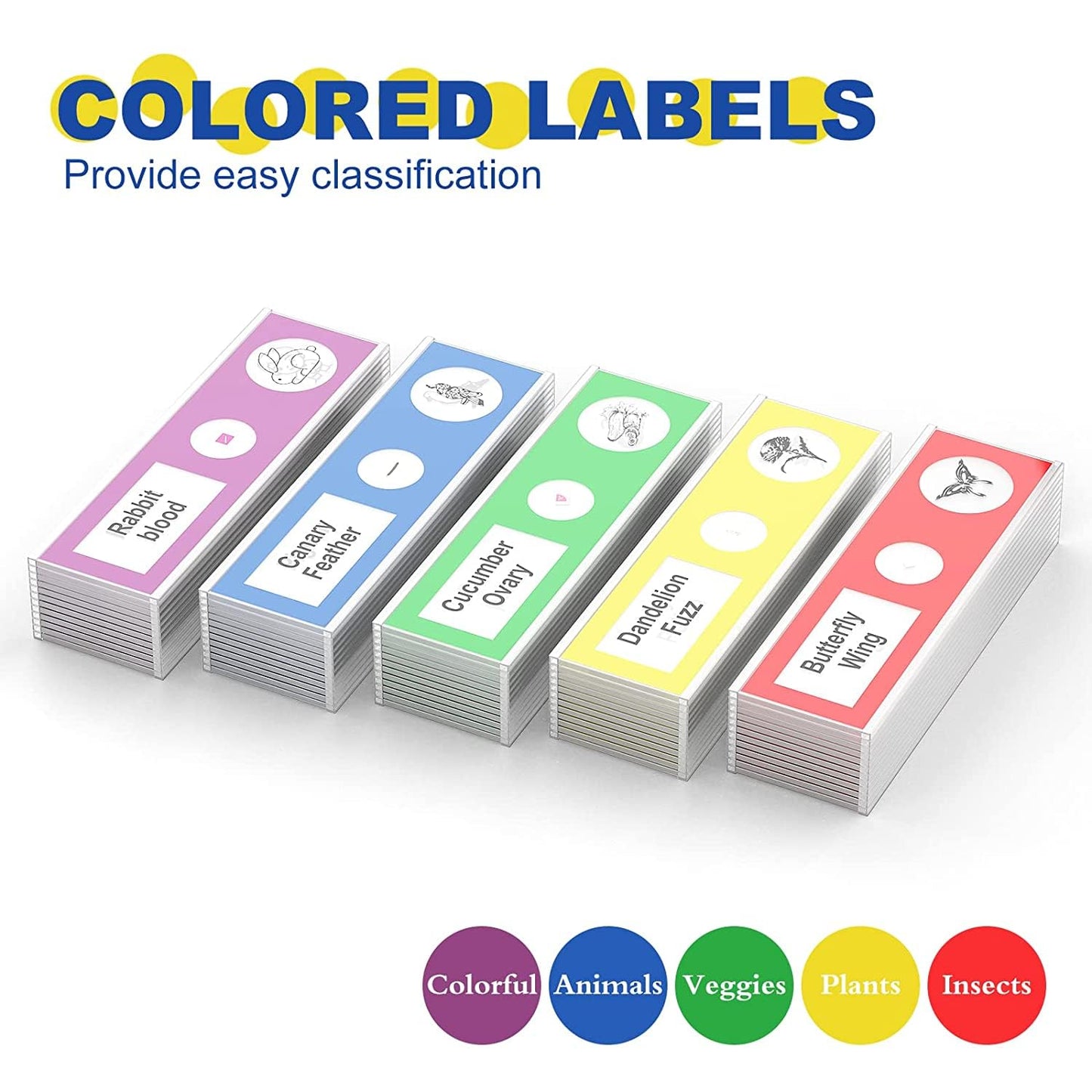 Jiusion 60Pcs Prepared Microscope Slides Specimen Animals Insects Plants Flowers Sample Biological Specimen, Stereo Microscope Slide for Kids Children Students Enlighten Education