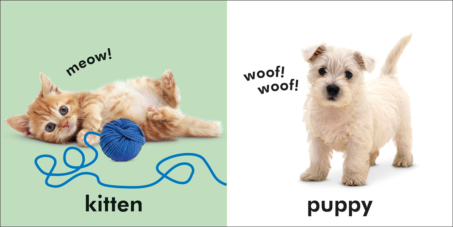 Baby Touch and Feel: Animals