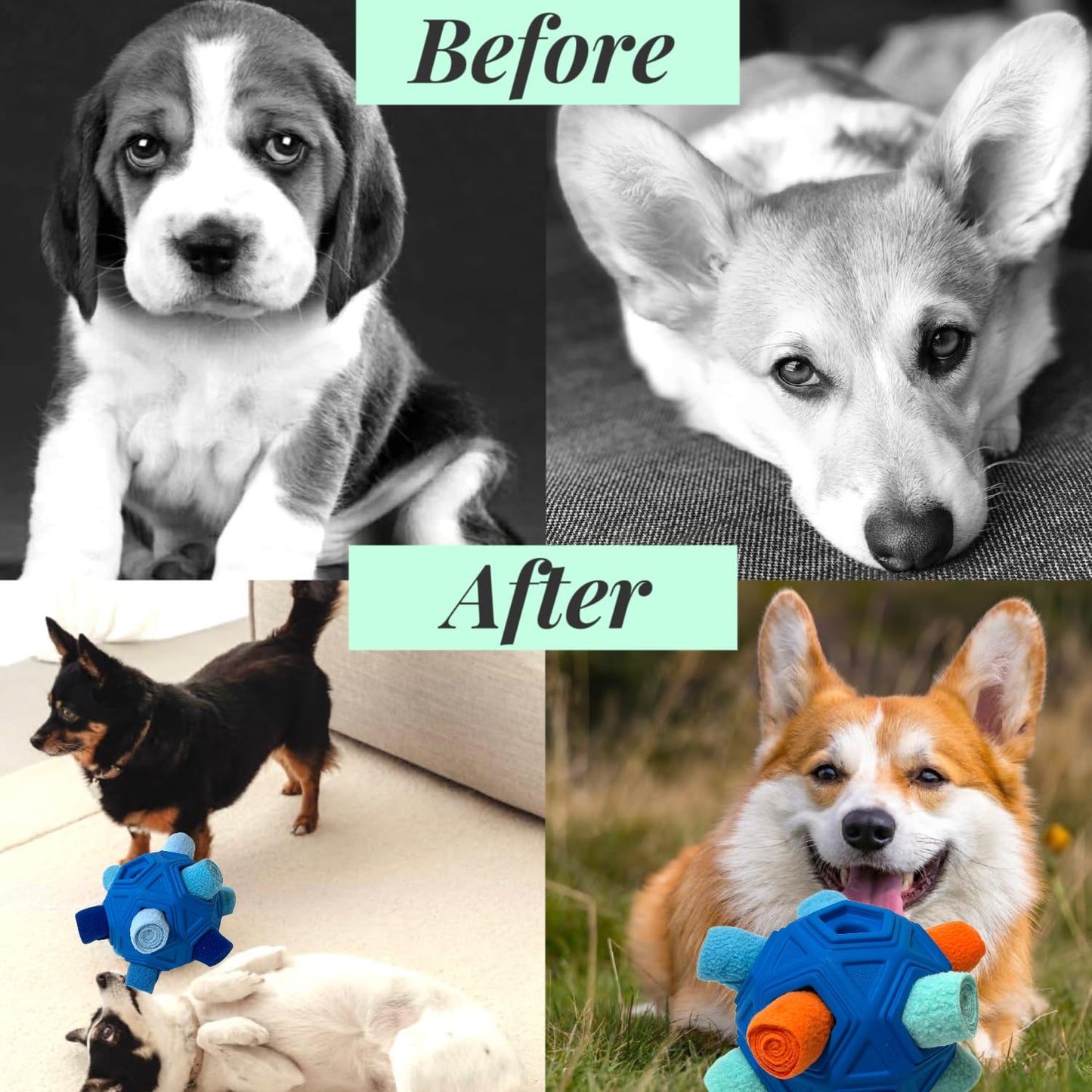 CIIVURR Snuffle Ball for Dog Toys Unbreakable Upgrade Ball Interactive Toy Foraging Snuffle Mat Puppy Treat Dispenser Slow Feeder Dog Puzzle Toys for Small, Medium, Large Pets (Blue)