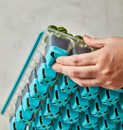 Burpee SuperSeed Seed Starting Tray | 36 Cell Reusable Seed Starter Tray | for Starting Vegetable, Flower & Herb Seeds | Indoor Grow Kit for Plant Seedlings | for Germination Success