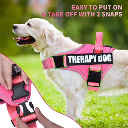 Dog Vest Harness and Leash Set, Animire Reflective Service Dog Vest with 10 Patches, 3 Rings No Choke Pet Vest for Leash Placement, in Training Dog Harness for Small Medium Large Dogs(Hot Pink,XS)