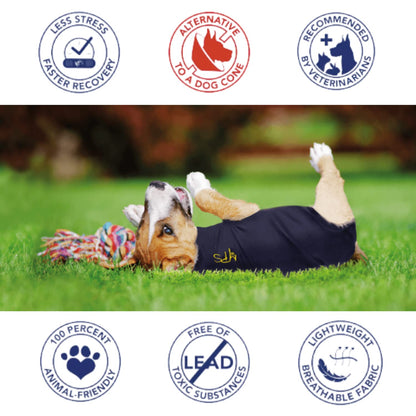 MPS Medical Pet Shirt Dog, Surgery Recovery Suit, Blue, Medium