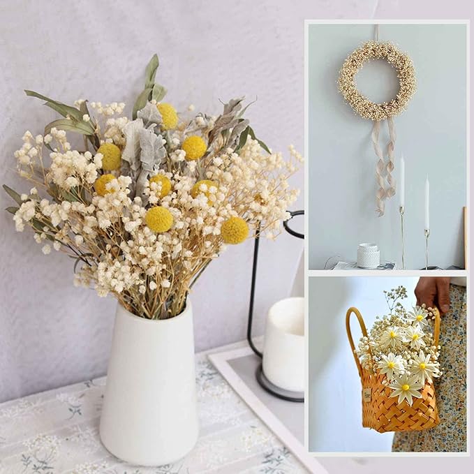 Dried Babys Breath Flowers Bouquet-17 Inch 2500+ Ivory White Dry Flowers, Natural Gypsophila Branches for Wedding, Table Vase Decor, DIY Wreath Floral, Home Office Party Garden Decoration (3oz)