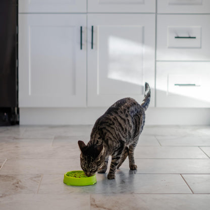 Catstages Kitty Slow Feeder Cat Bowl, Green