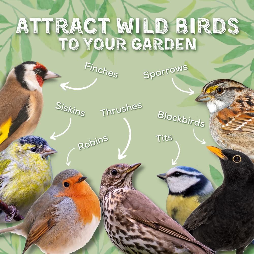 Copdock Mill Wild Bird Seed Supreme Mix 5L Tub – All Year-Round Bird Food – 100% Natural Ingredients Including Peanuts for Wild Birds – Suitable for All Wild Bird Species