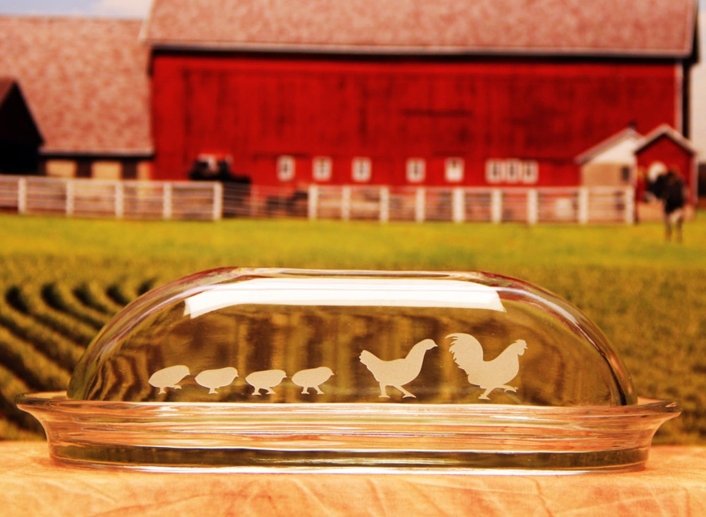 Armour Etch Glass Etching Cream - Create Stunning Designs on Glass Surfaces - Etching Cream for Glass by Armour Products - 22 oz Net Weight