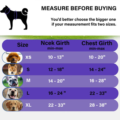 Hipubby Dog Harness Small Sized Dog, No Pull Pet Harness with 2 Metal Rings and Control Handle, Adjustable Soft Dog Vest with Reflective Strips, Easy Walking and Training for Small Dogs, Purple, S