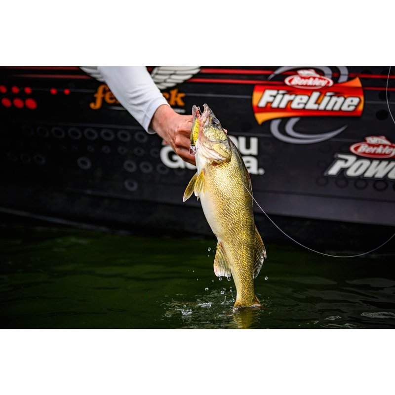 Berkley Flicker Shad Shallow Fishing Lure, Blue Tiger, 2/7 oz, 2 3/4in | 7cm Crankbaits, Size, Profile and Dive Depth Imitates Real Shad, Equipped with Fusion19 Hook