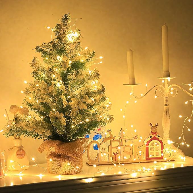 Plug in Firecracker Lights 10FT Warm White Copper Wire Indoor Cluster Fairy Lights with Remote Timer for Bedroom, Living Room, Tree, Garden, Porch, Patio, Backyard, Christmas Tree