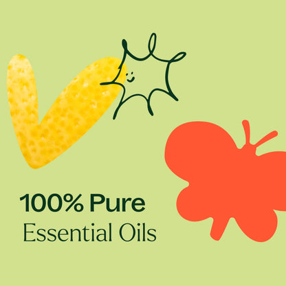 Plant Therapy Top 14 Singles Set Lavender, Eucalyptus, Peppermint, Orange Sweet, Lemon & More 100% Pure, Undiluted, Natural Aromatherapy for Topical Use & Diffusion, Therapeutic Grade 10 mL (1/3 oz)