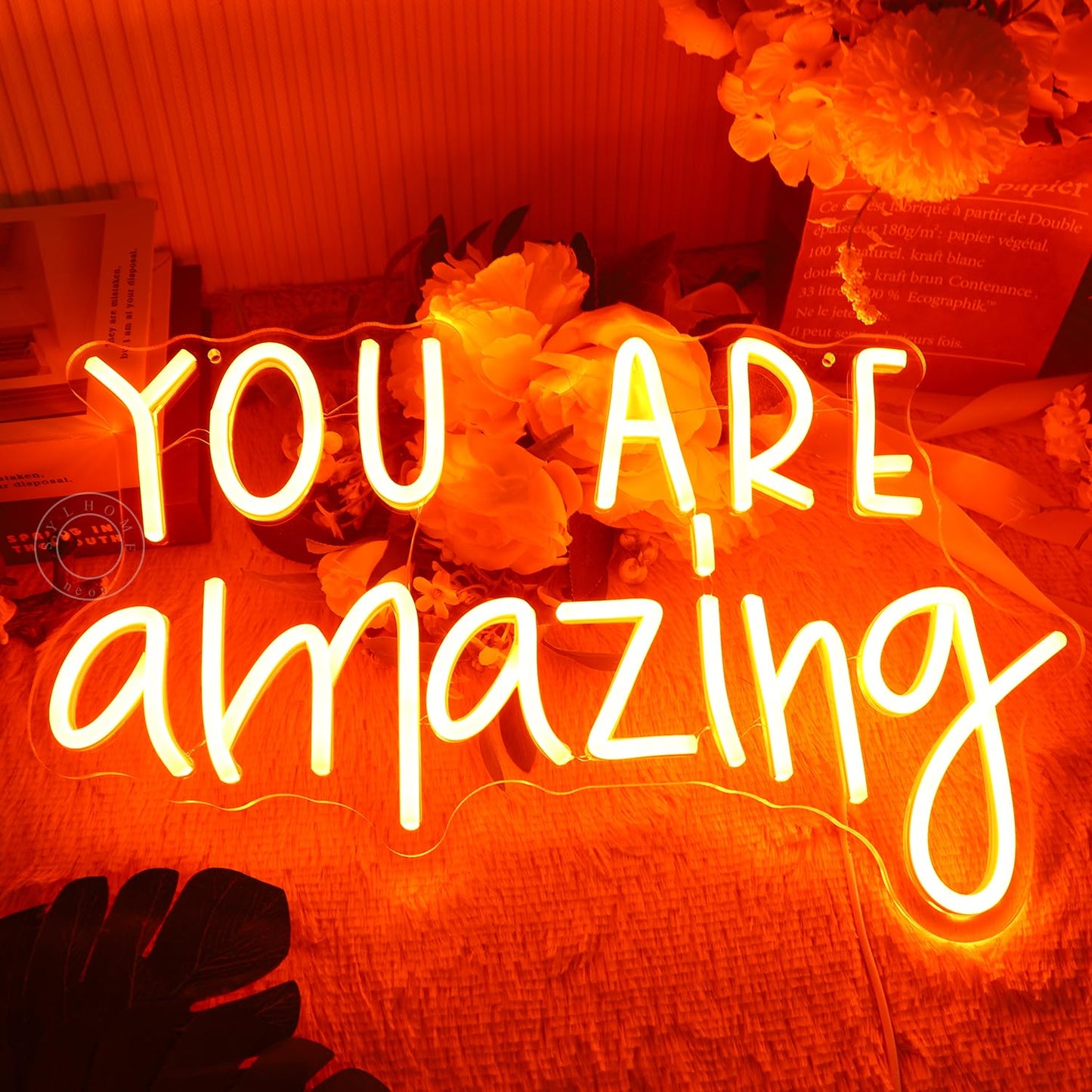 SYLHOME You Are Amazing LED Neon Light Sign 5V Girls Boys Bedroom Living Room Classroom Wall Decor Sign Hanging Smart Kid Birthday USB 16.9" X 10.6" Warm White
