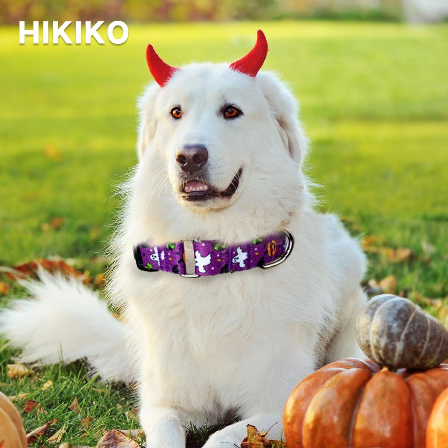 Hikiko Martingale Collar for Dogs with Buckle for Small Medium Large Dogs Soft Nylon Halloween Dog Collars Walking Training（Purple Little Devil,Large）
