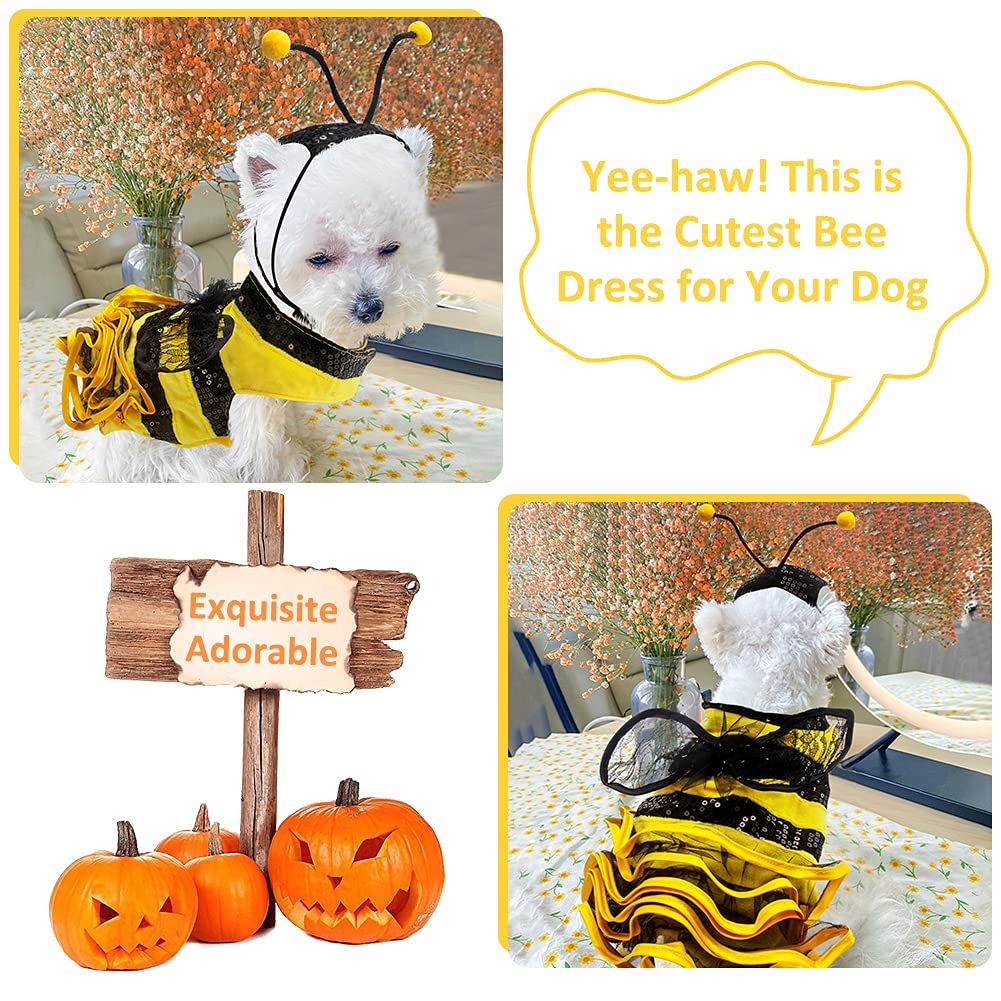 Bee Dog Costume - Bumblebee Pet Dress with Cap - Funny Halloween Outfit for Small, Medium, Large Dogs & Cats