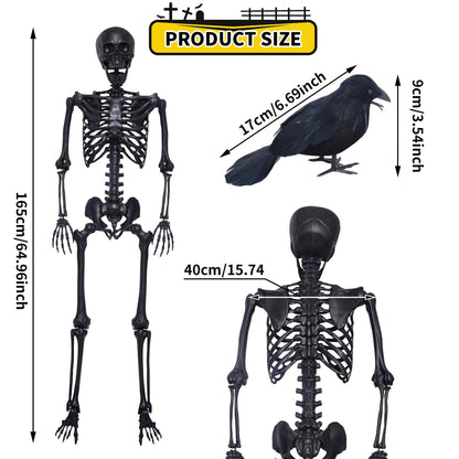 5.4Ft Halloween Skeleton,Posable Skeleton Full Size Skeleton with Movable Joints and 2PC Black Feathered Crows for Halloween Decorations Outside and Inside