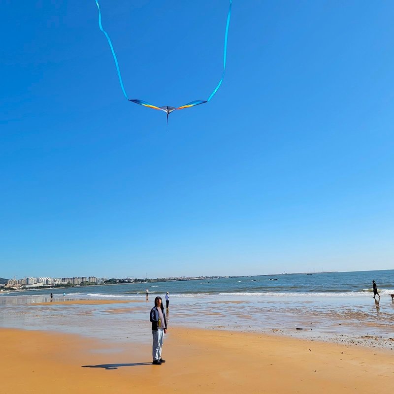Large Beach Delta Kite for Adults and Kids Ages 4-8 & 8-12, Extremely Easy to Fly for Beginners(60X30''), Single Line Kite,Comes with 300 FT String Kite Handle.(Rainbow)