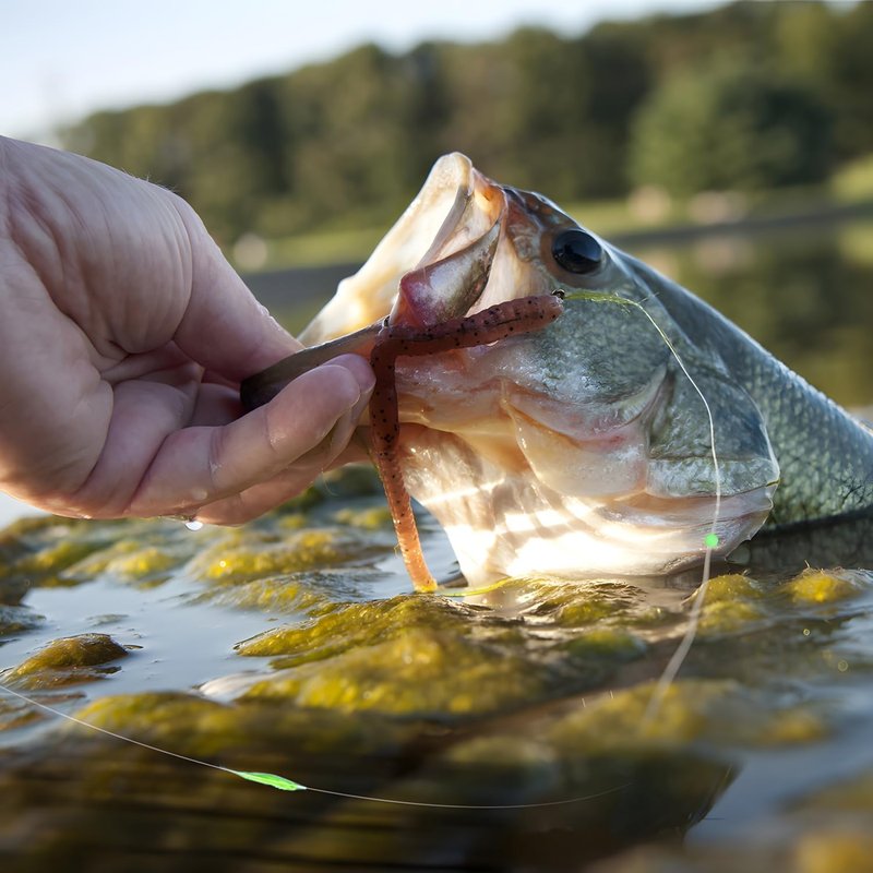 Fishing Bobber Stops - Durable Float Stops with Glow Beads | Easy String Knots