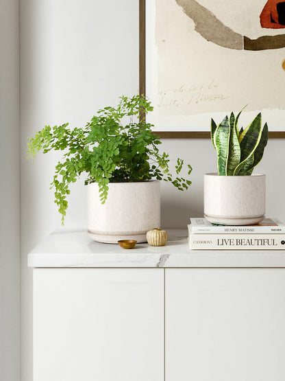 LE TAUCI Ceramic Plant Pots, 11+13+17 cm Planters, Set of 3 Planters with Drainage Hole and Saucer, Indoor Plant Pot with Hole Mesh Pad, Gifts for Mom, Reactive Glaze Beige