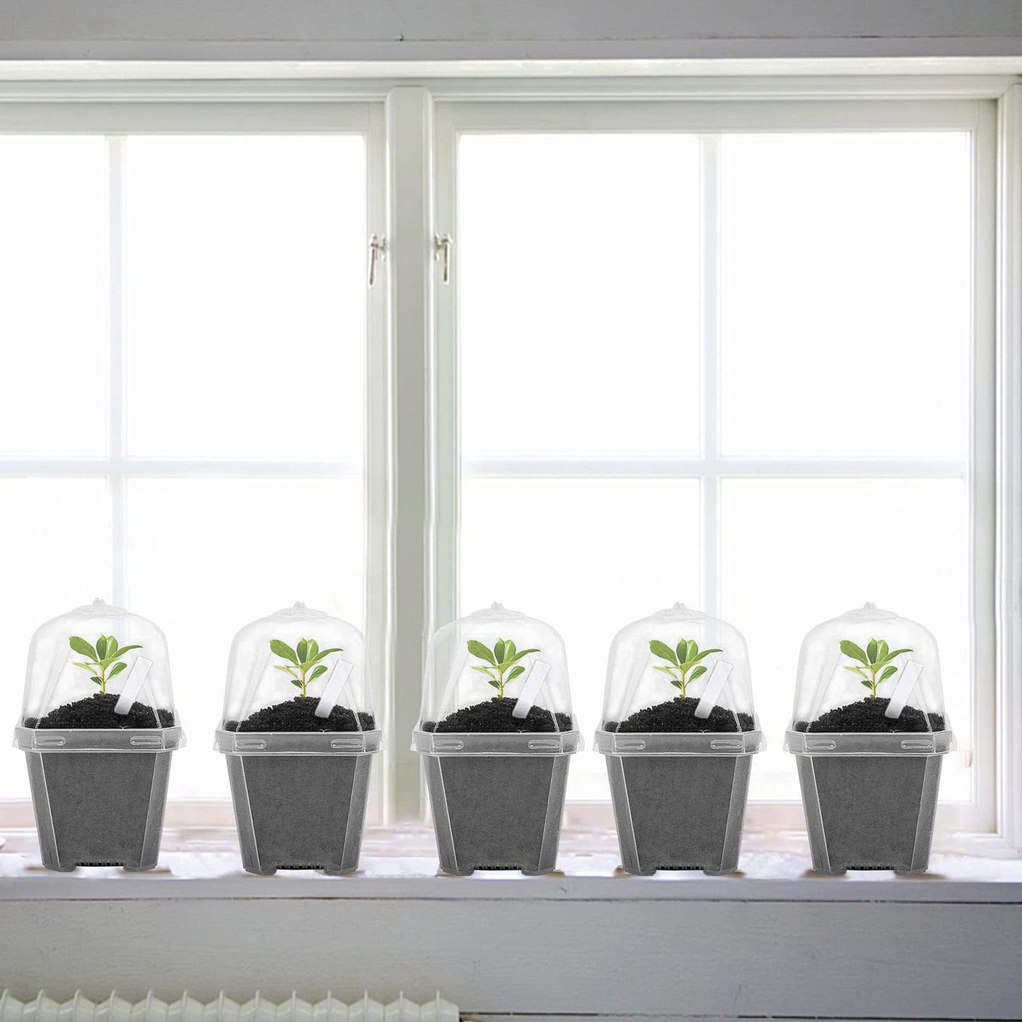 EBaokuup 10PCS Clear Plant Nursery Pots with Humidity Dome - 3" Plastic Gardening Pot with Labels, Durable Plastic Plant Container for Seedlings/Vegetables/Succulents/Cuttings